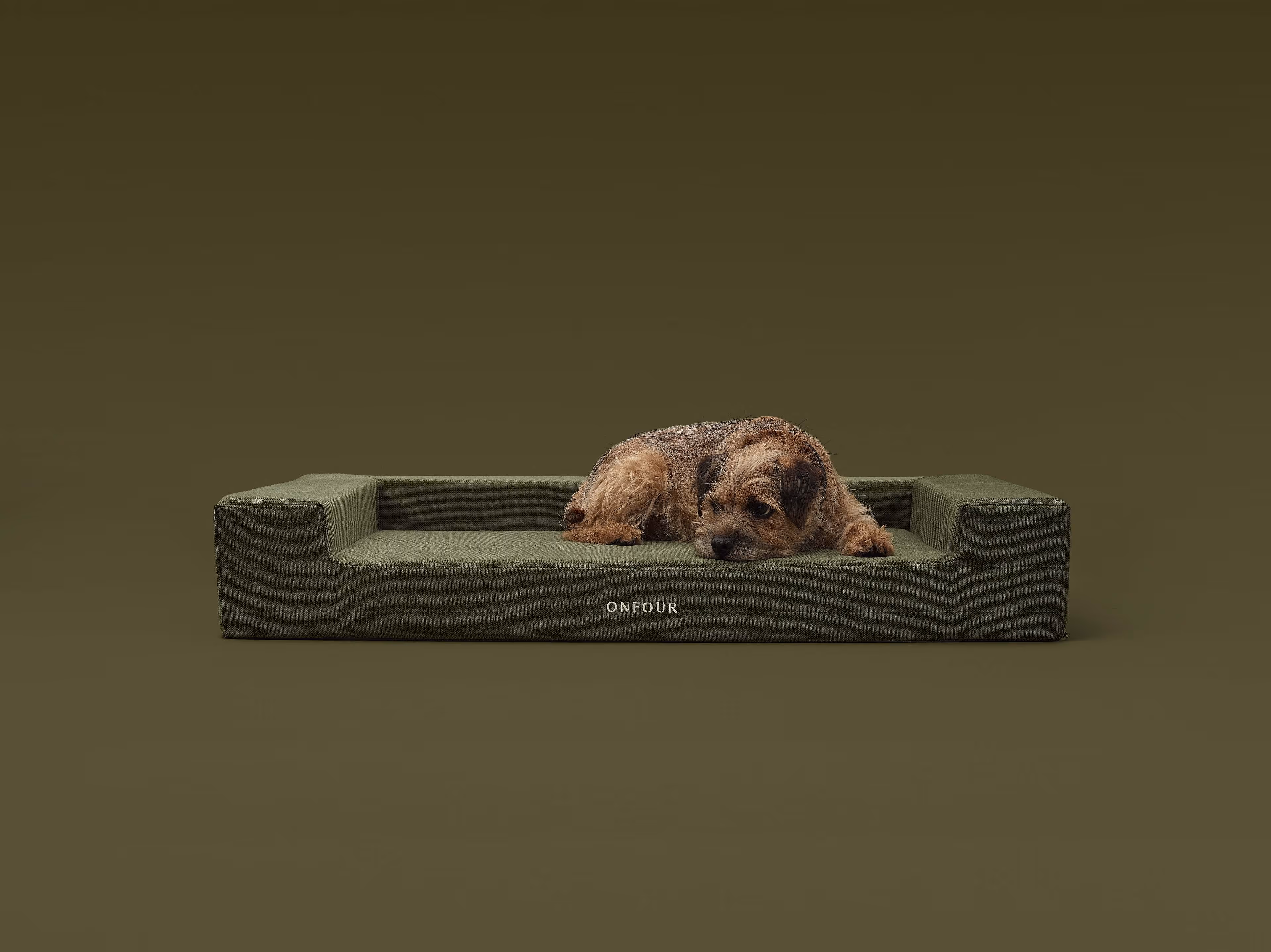 Small brown dog lying on an olive green rectangular dog bed with side bolsters and ONFOUR written on the front.