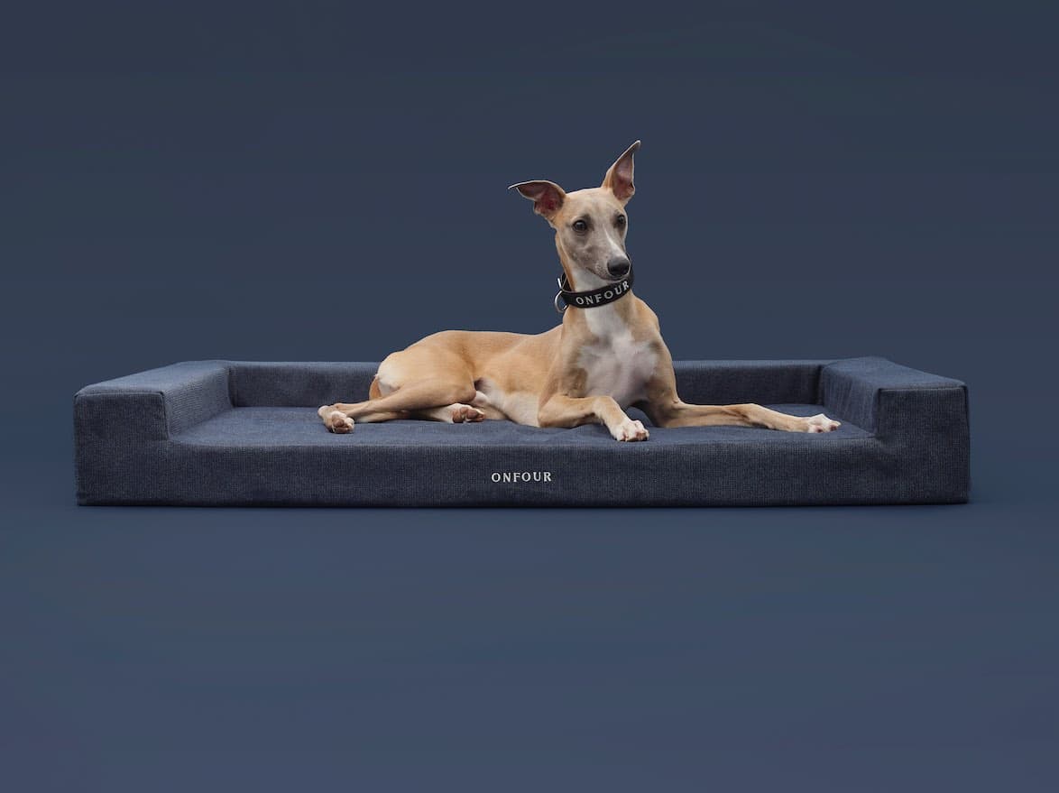 Small brown dog resting on green pet bed