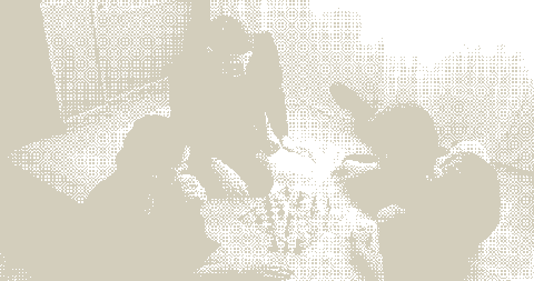 Startup naming strategy